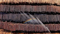 阳光明媚，洒水产生的彩虹映照着堆叠木材的无人机视角