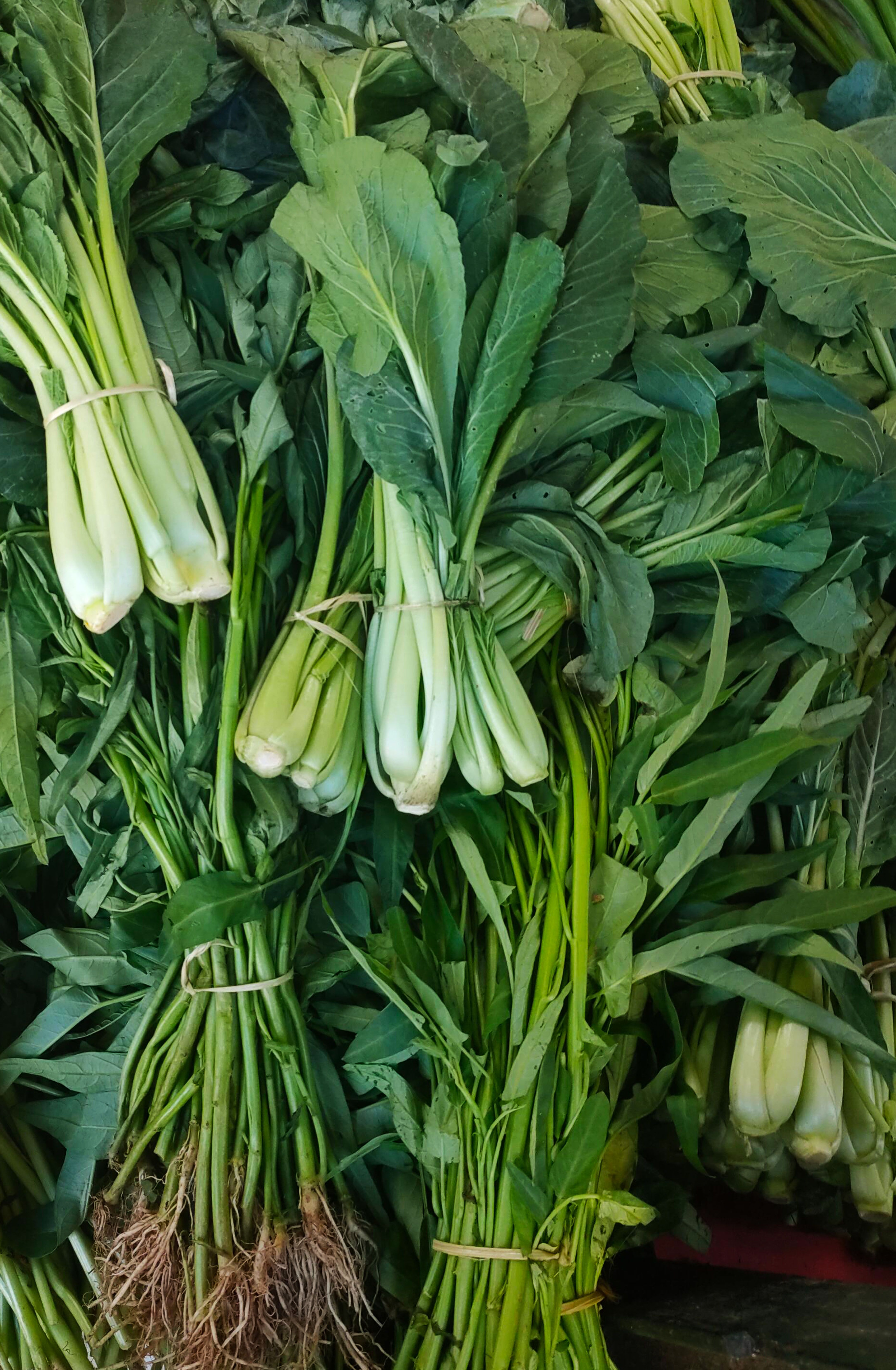 A shallow white bowl of bright green peas and shredded spring greens tossed with chopped fresh mint and a melting pat of butter.