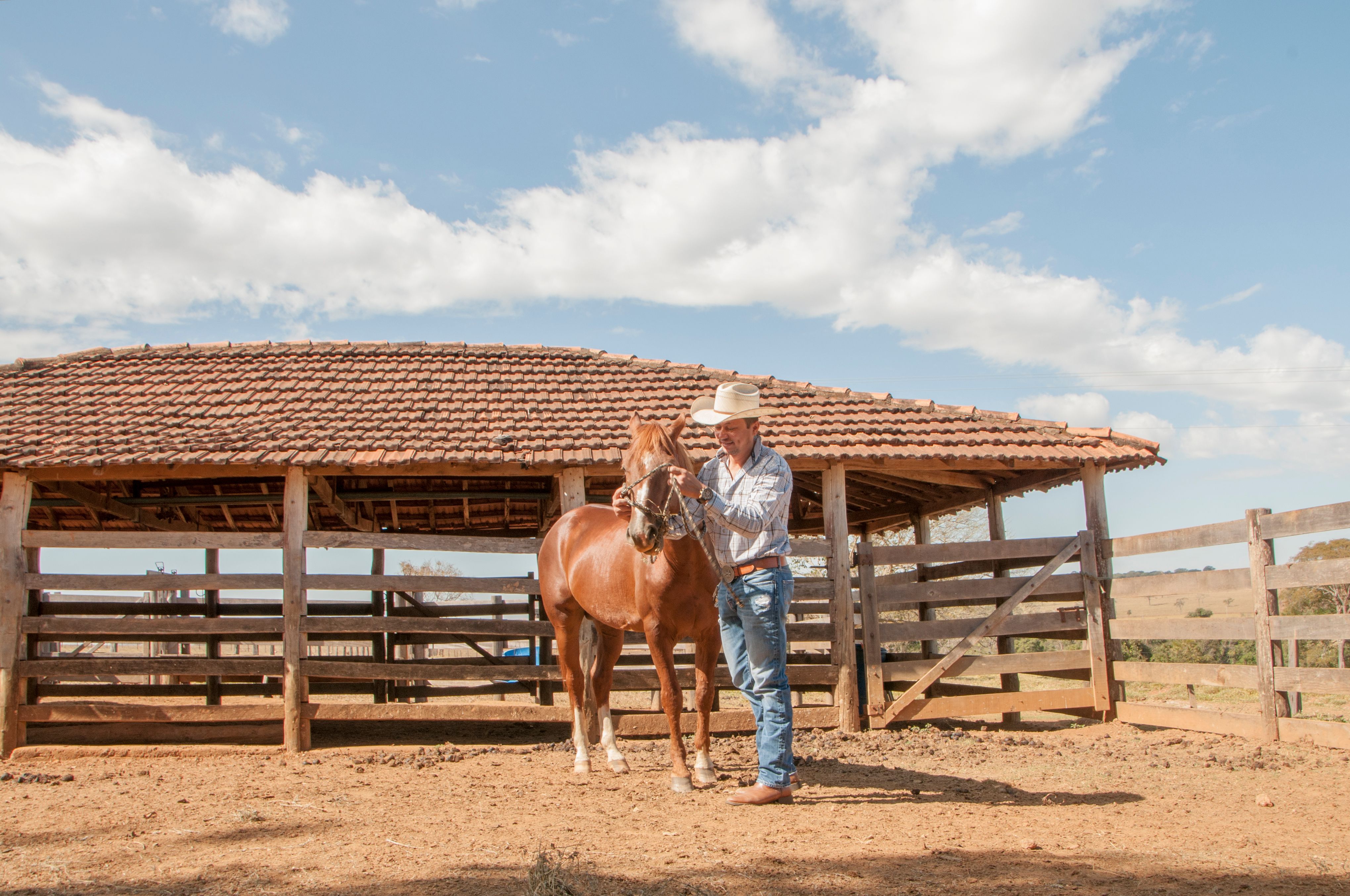 Cowboy with horse in a sunlit rural farm scene, surrounded by stables and clear skies.