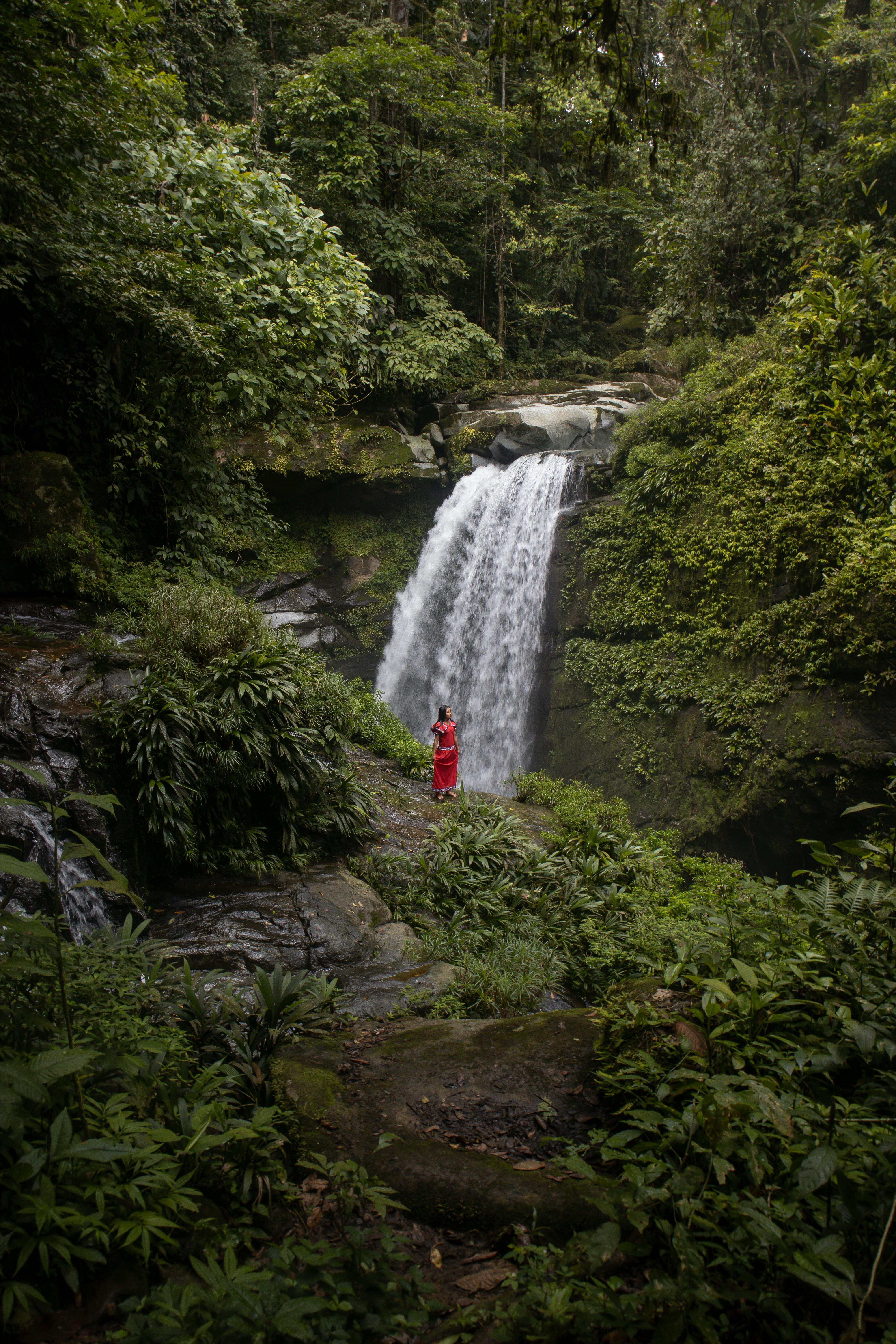 A tranquil waterfall surrounded by green foliage with a woman in a red dress standing nearby.