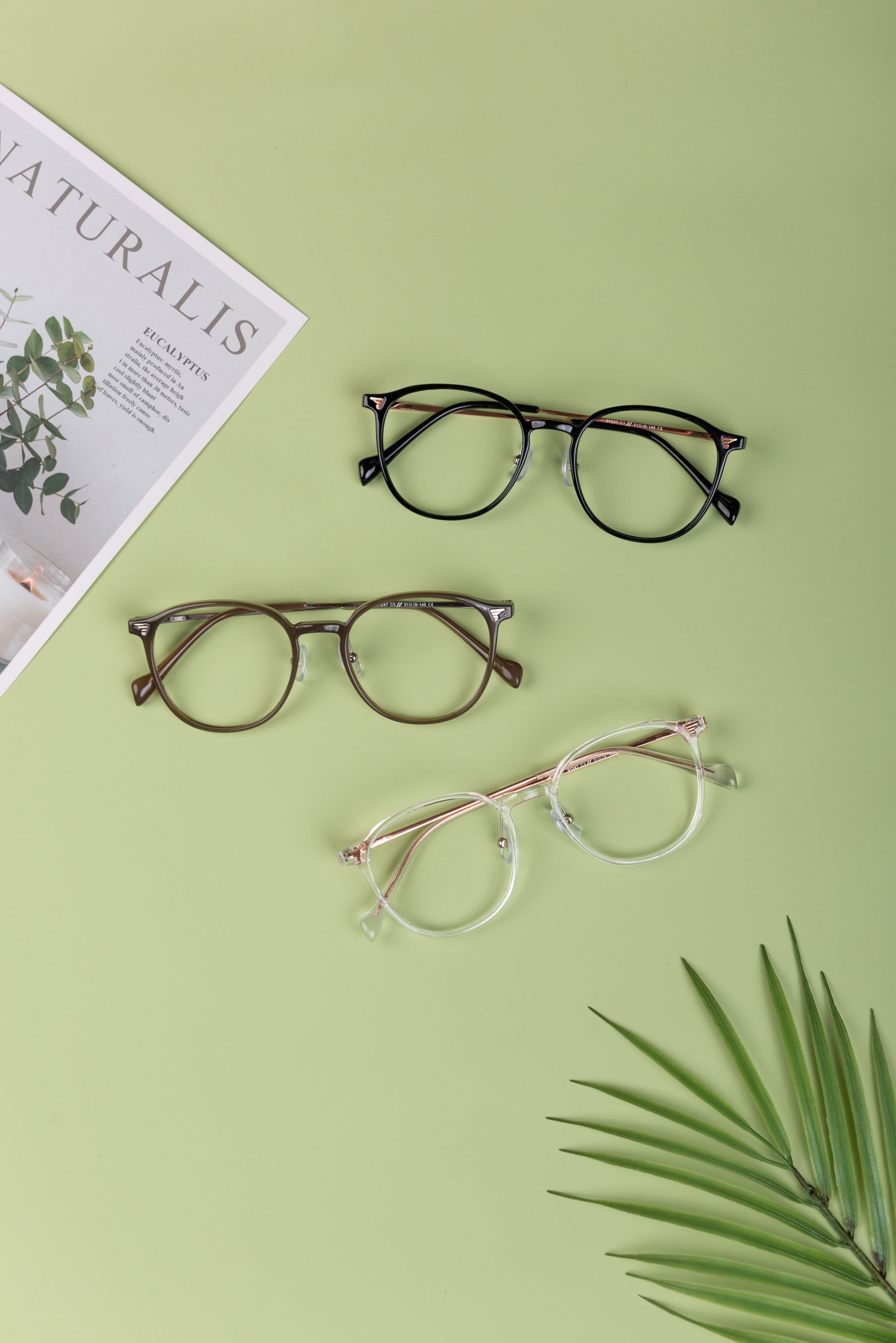 Aesthetic display of eyeglasses with a chic backdrop and green tones.