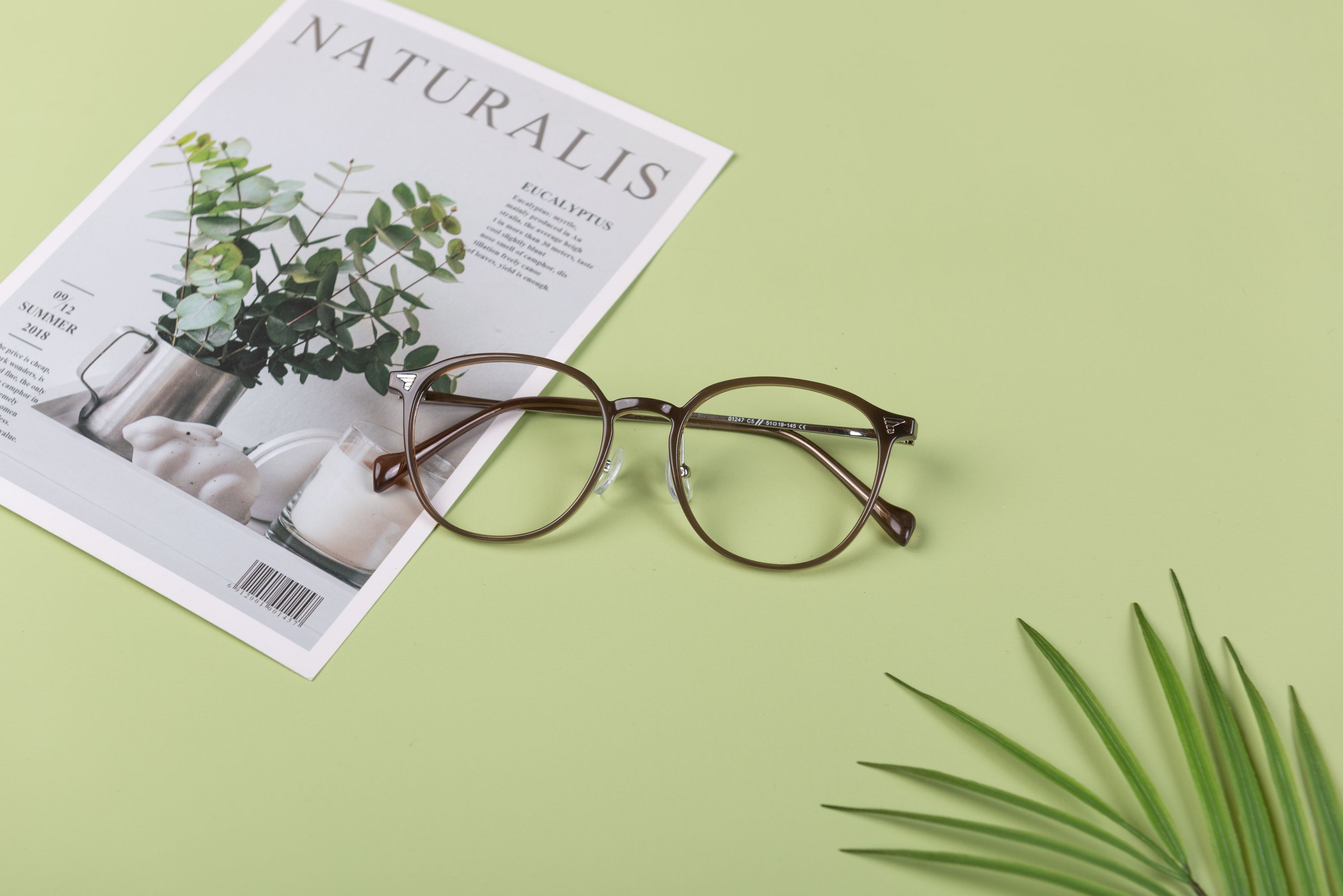 Elegant eyeglasses placed on a light green background alongside a botanical magazine, creating a modern, stylish look.