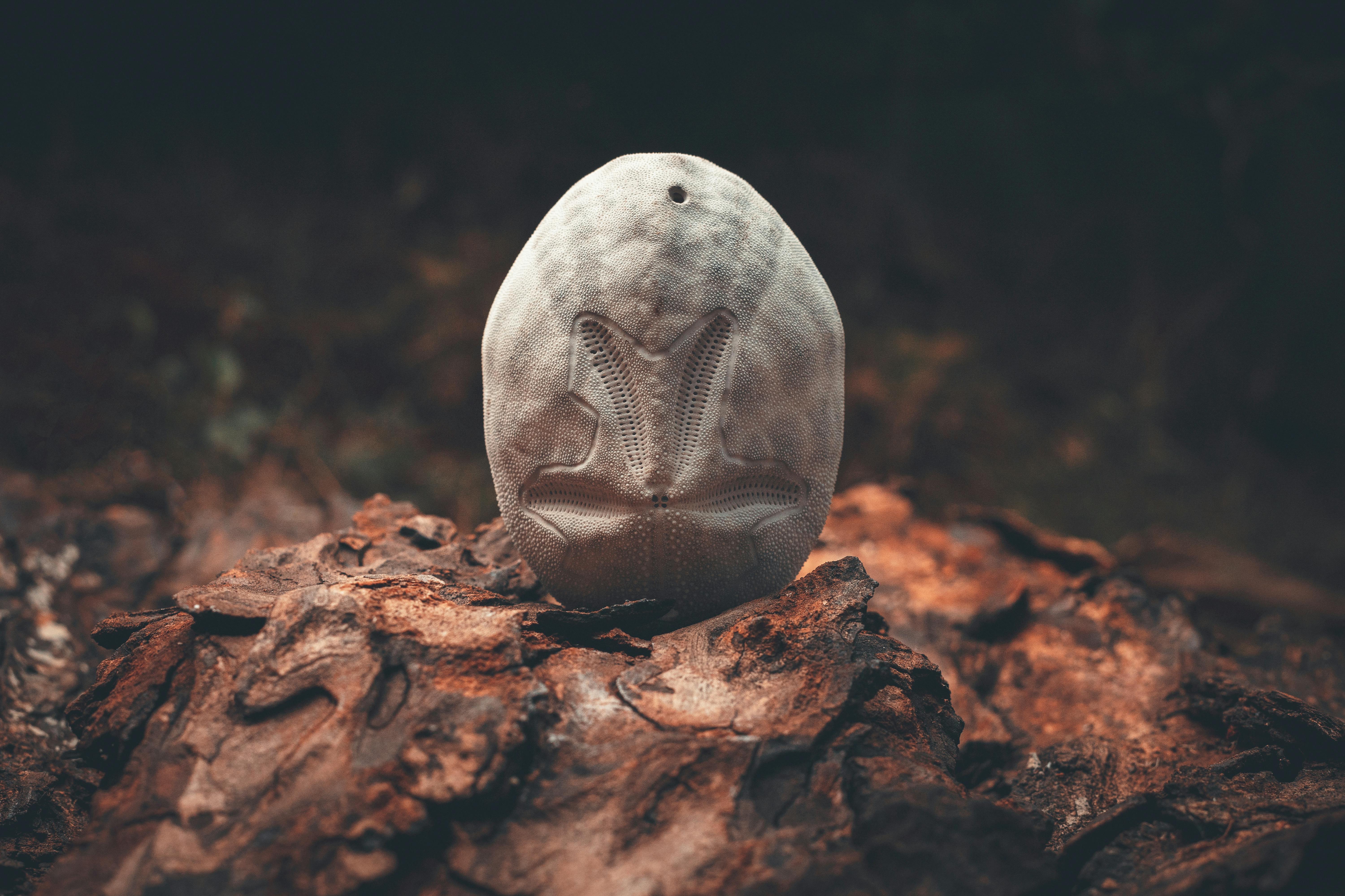 ancien pont terrestre