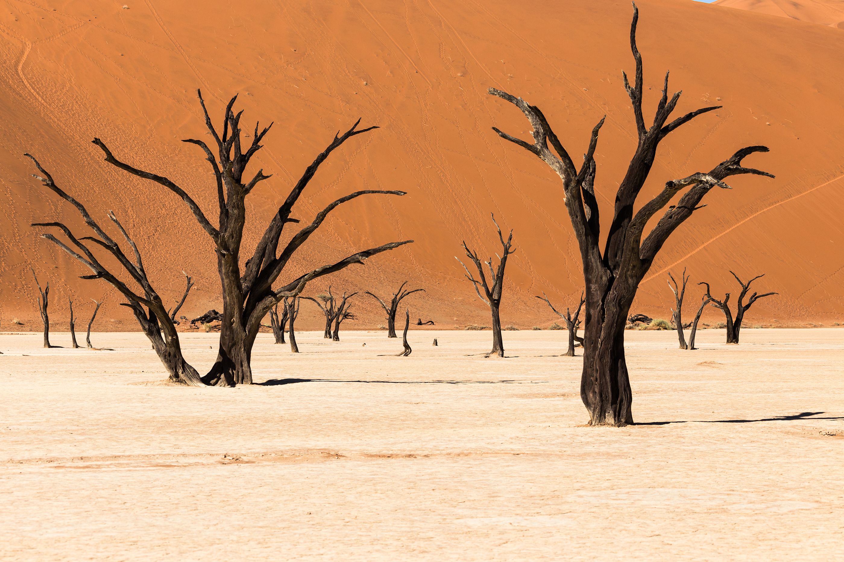 Deadvlei, Namibia — Jude Commentary Booklet Two