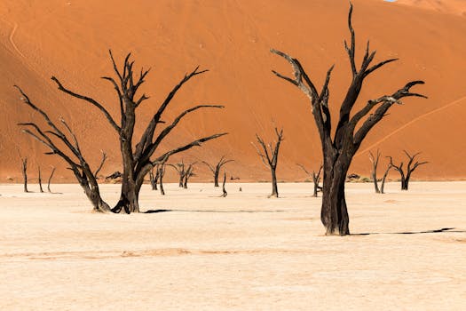 Captivating arid landscape of Deadvlei with bare trees against sand dunes in Namibia's Namib-Naukluft Park.