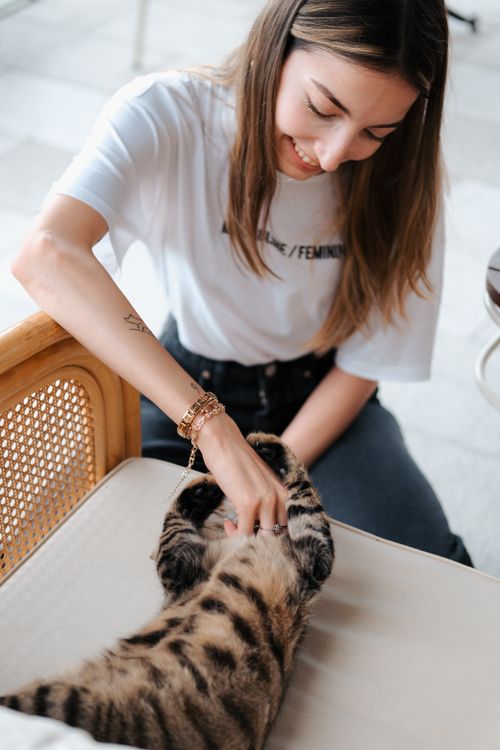 Free Young woman enjoying playful moments with a cat on a cozy chair indoors in Istanbul. Stock Photo