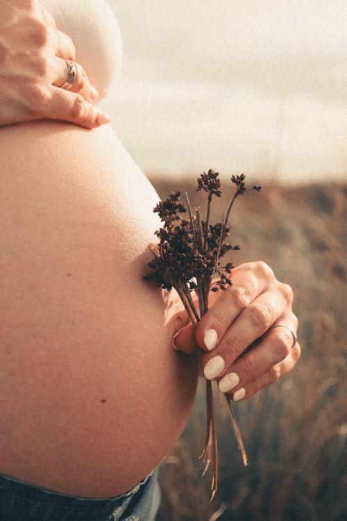 Free Close-up of a pregnant woman holding wildflowers, symbolizing maternity and natural beauty. Stock Photo