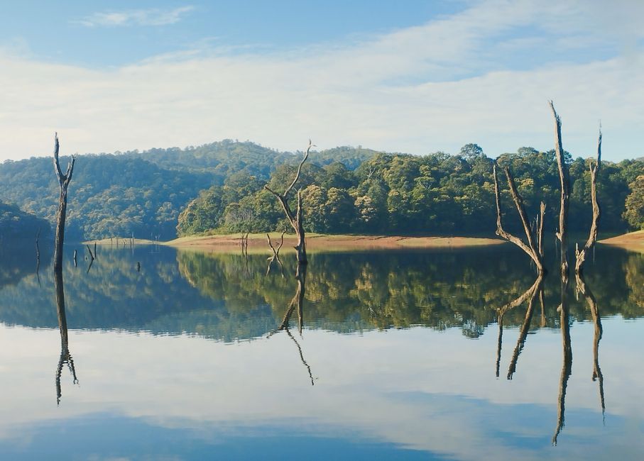 Periyar travel package