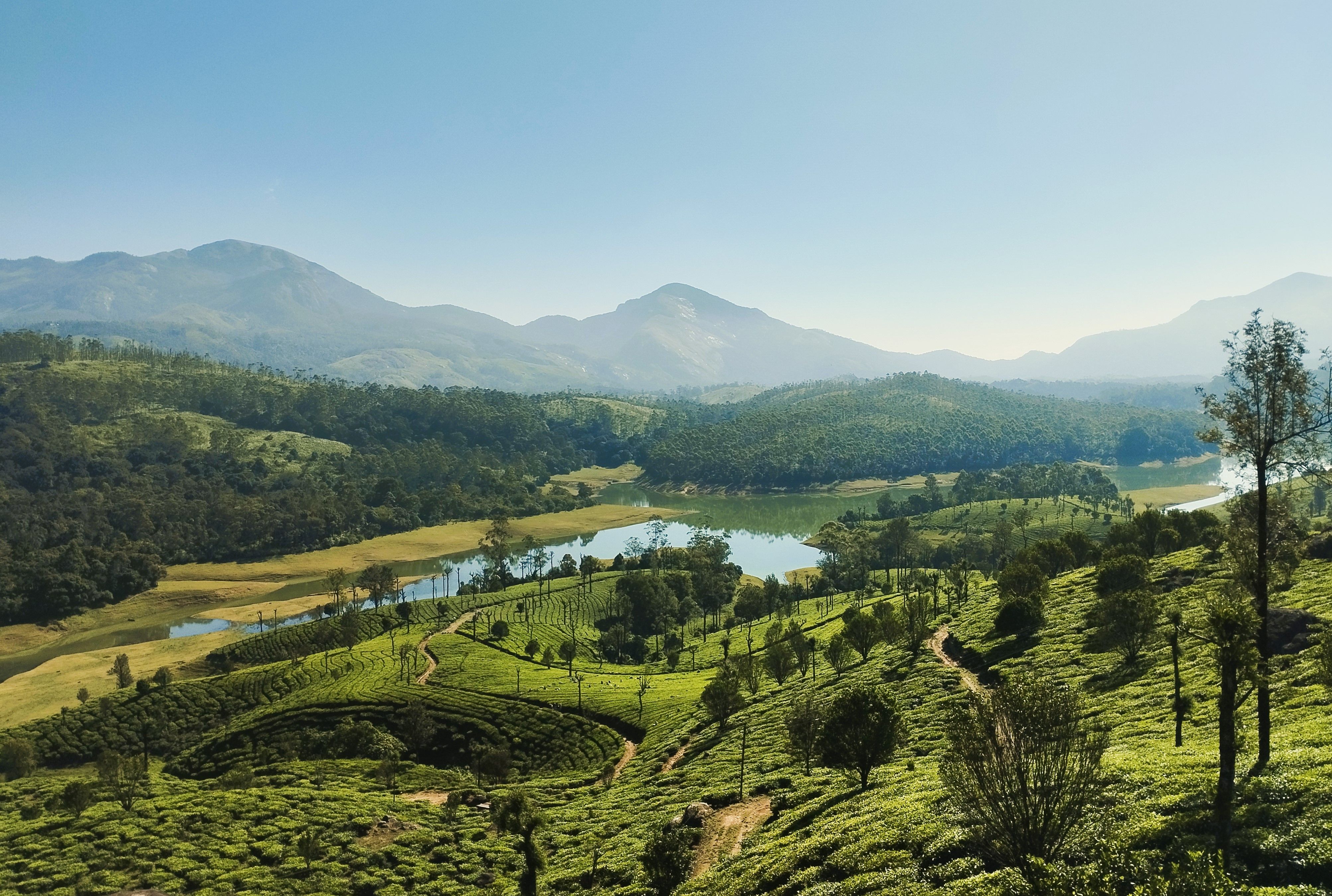 Tea-covered hills and winding road in the Munnar high range