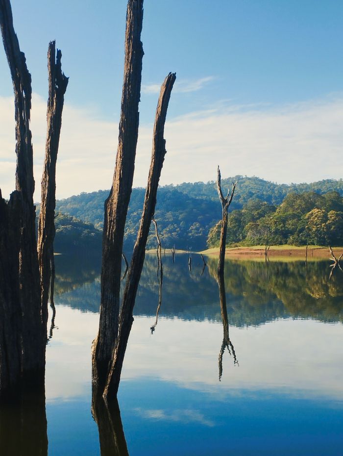 Scenic view of Periyar Lake with forested hills in Thekkady, Kerala