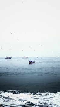 Image shows search and rescue operation after Kerala ship fire. Four people remain missing. National concern.