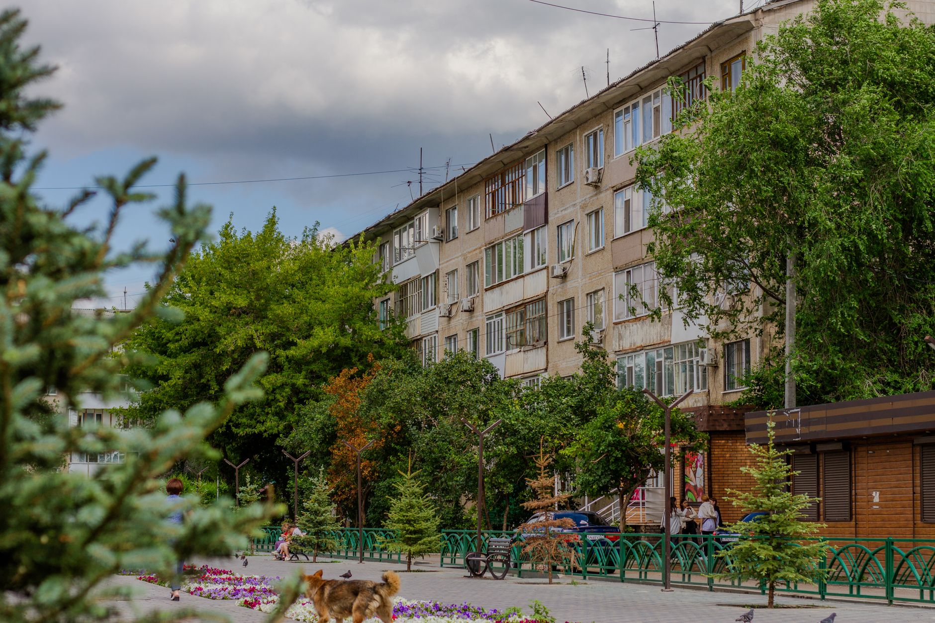 Ghid practic pentru o zi călduroasă în Bacau