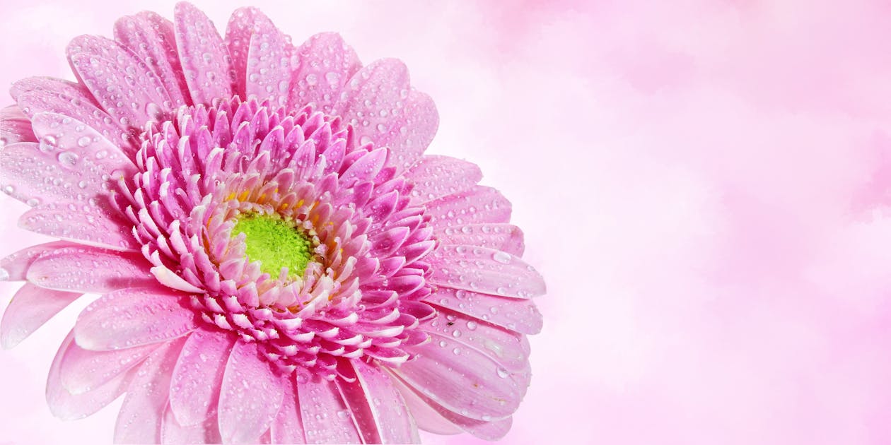 Photo Gratuite De Accueillir Anniversaire Carte Photo Gratuite De Accueillir Anniversaire Carte