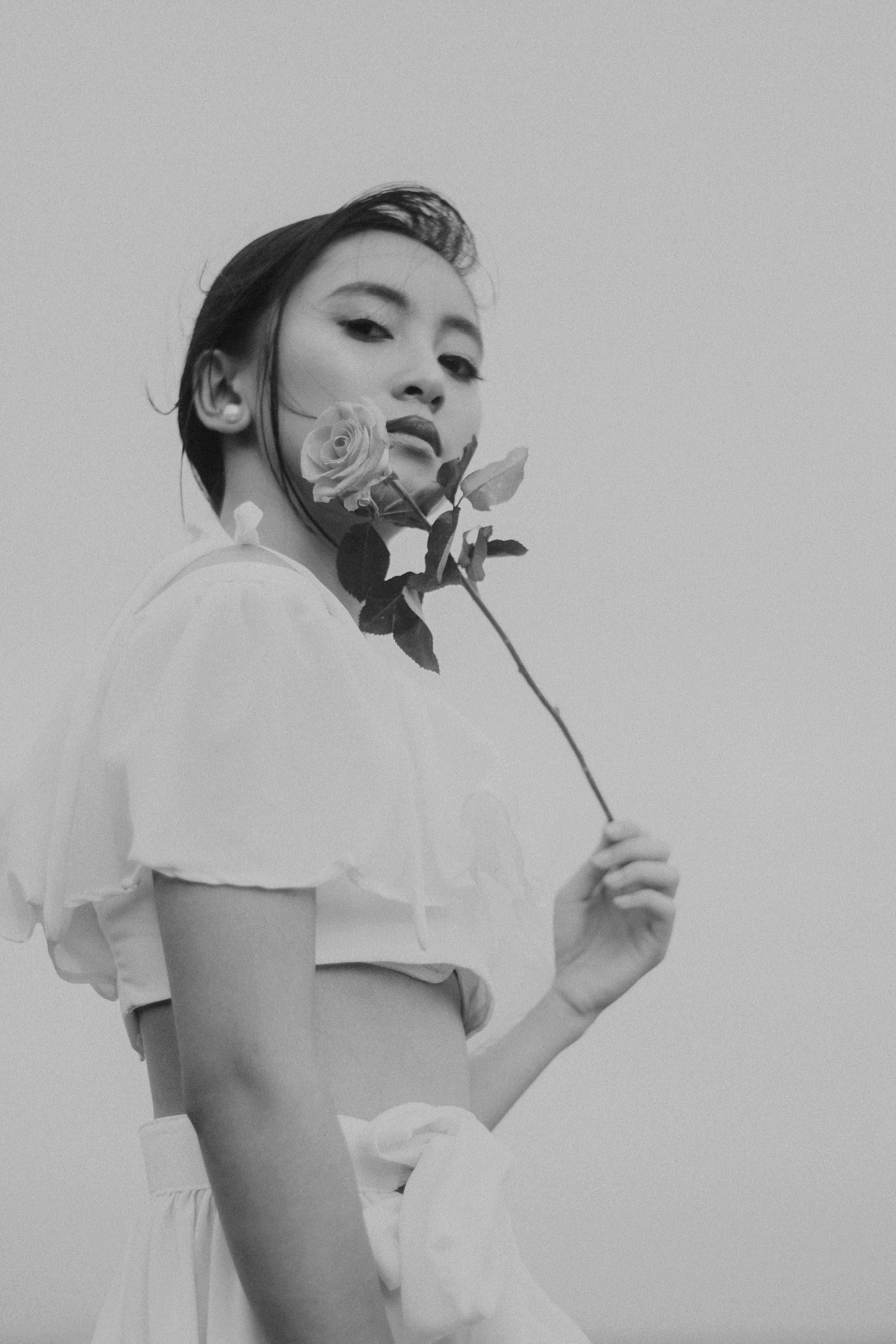 Gratis lagerfoto af blødhed, blødt fokus, blomst Lagerfoto