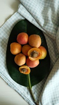 Apricot — Albaricoque