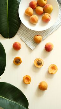 Apricot Apricot Energy Bars