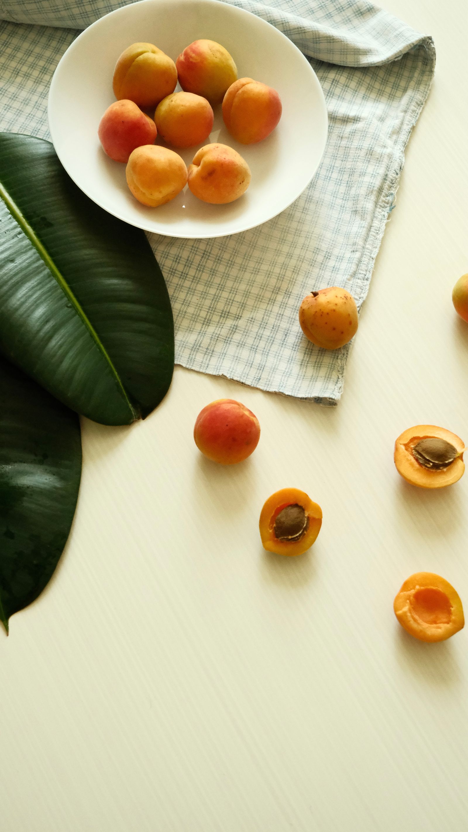 apricot
