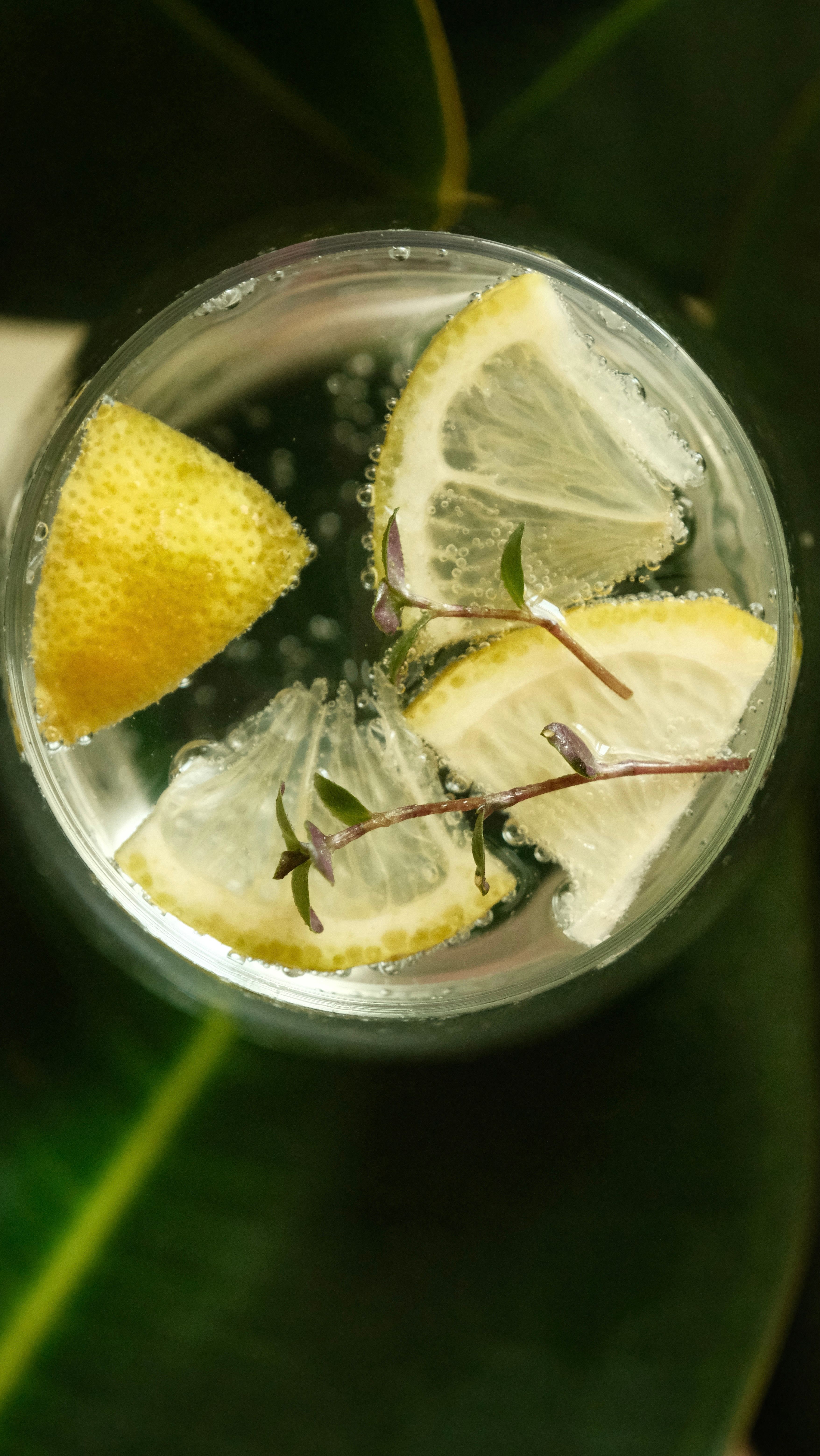 Close-up of a refreshing lemon drink with herbs, showcasing vibrant citrus slices in a glass.