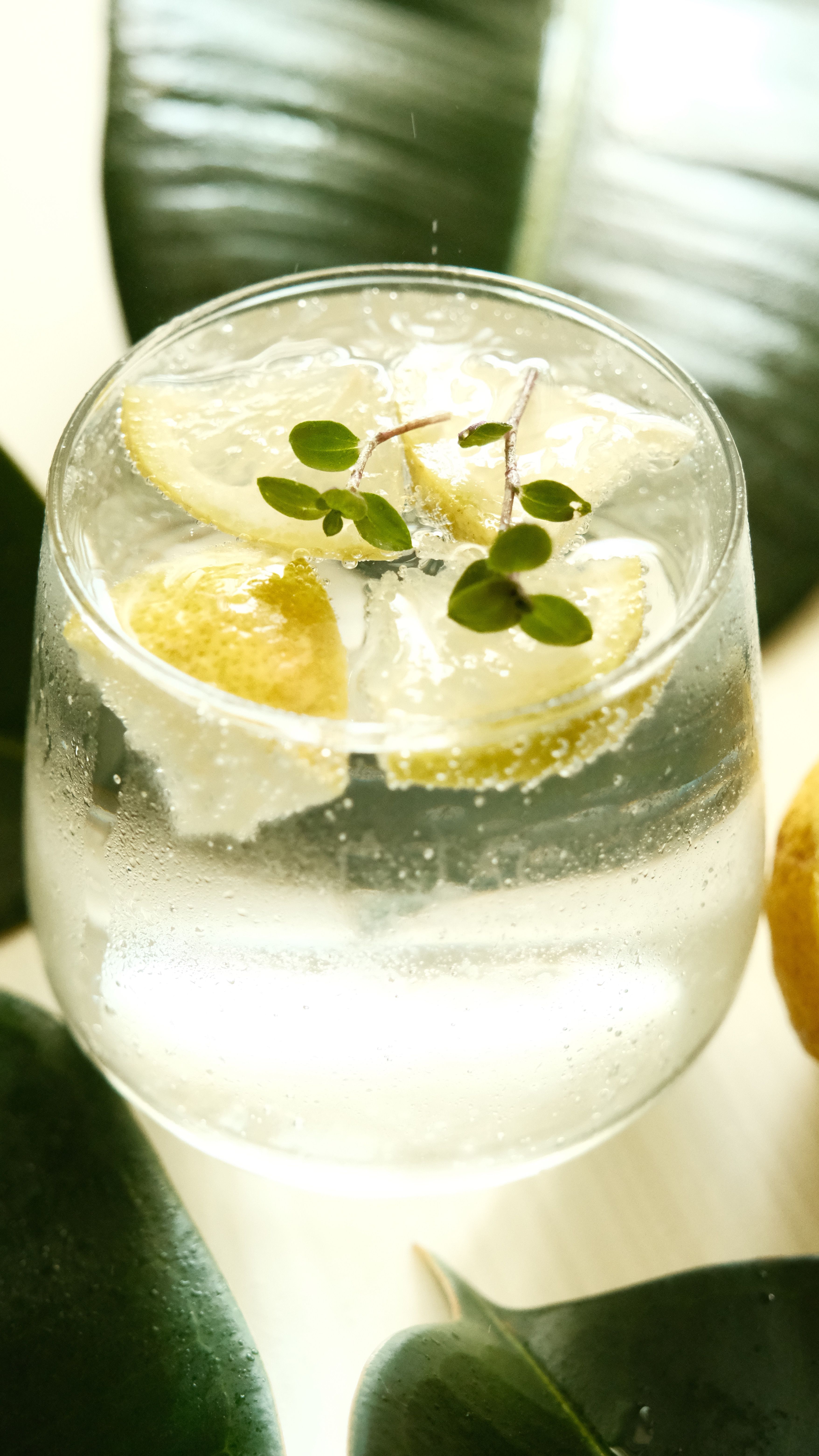 New Sparkling Lemonades and Mocktail Mixers