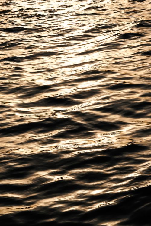 Free Captivating golden sea waves reflecting the sun, creating a mesmerizing liquid surface effect. Stock Photo