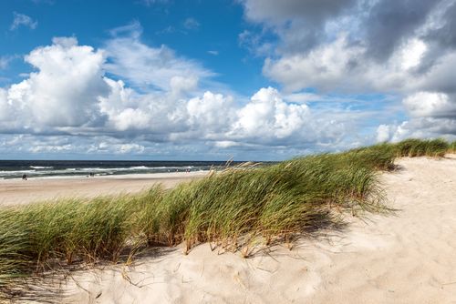Free Beautiful coastal dunes and beach scene at Henne Kirkeby, Denmark under a dramatic sky. Stock Photo