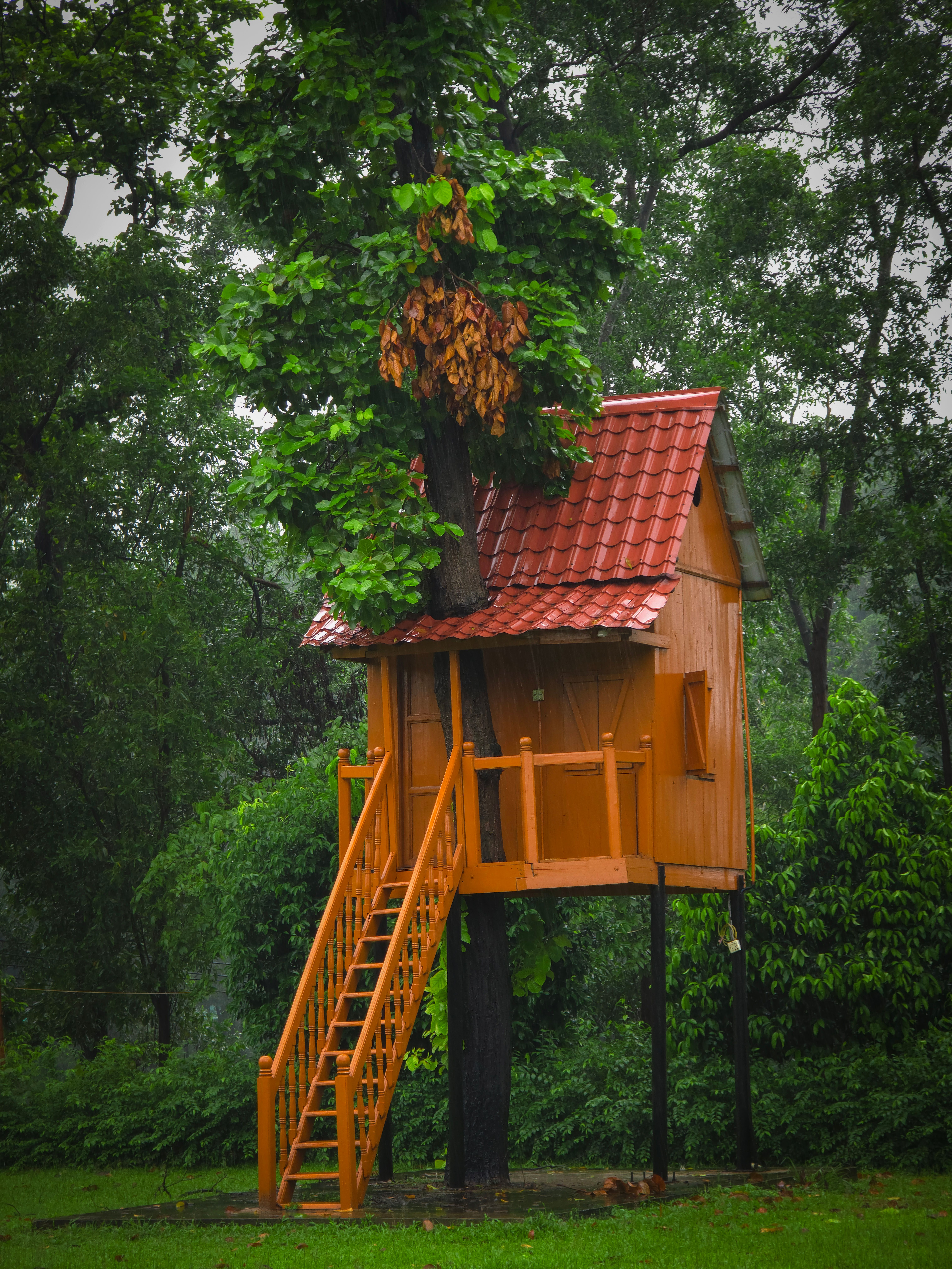 LEGO Icons Tree House