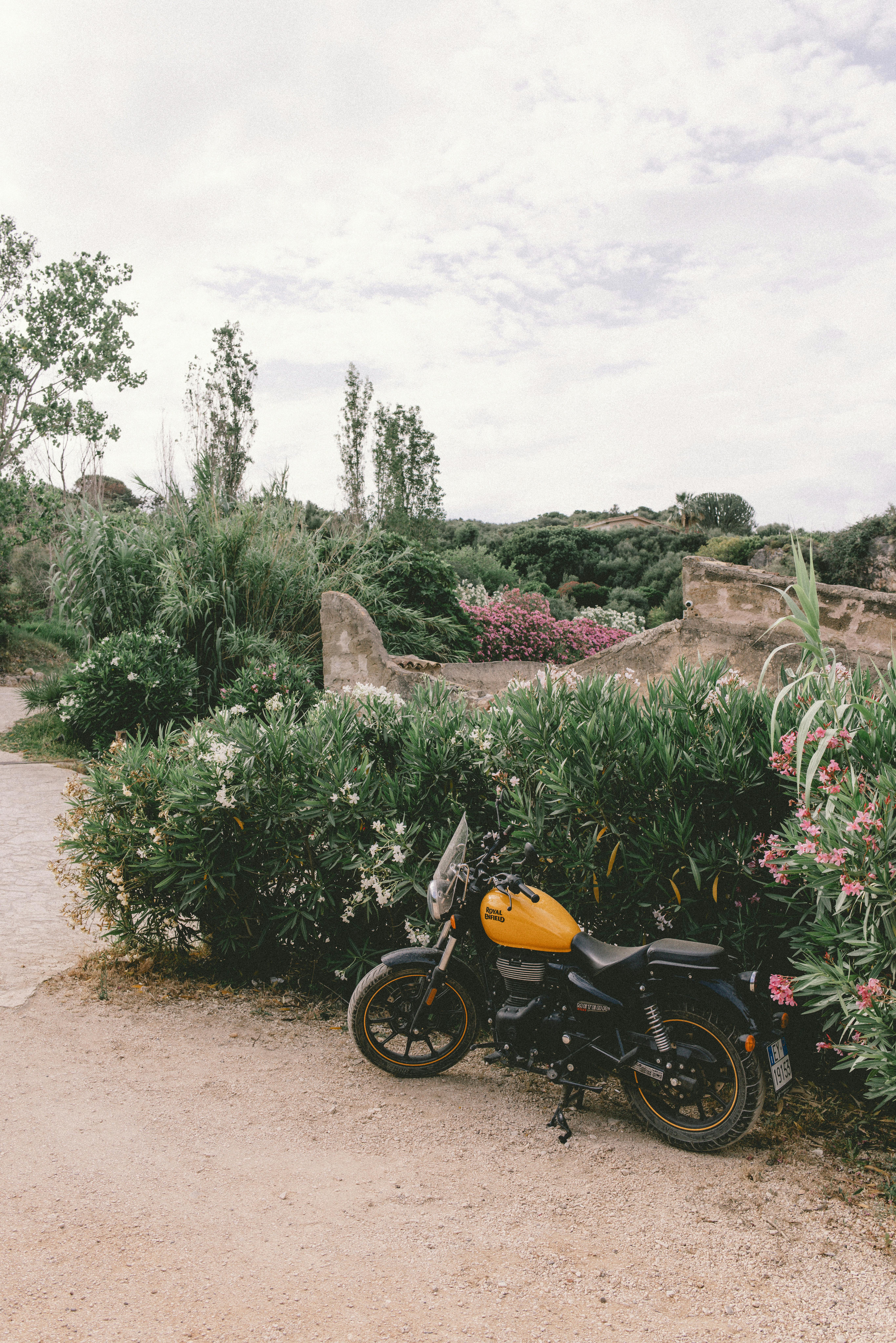 A stylish yellow motorcycle parked amidst vibrant greenery and flowers in a serene garden setting.