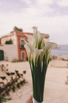 A graceful display of calla lilies held against a seaside Mediterranean backdrop.