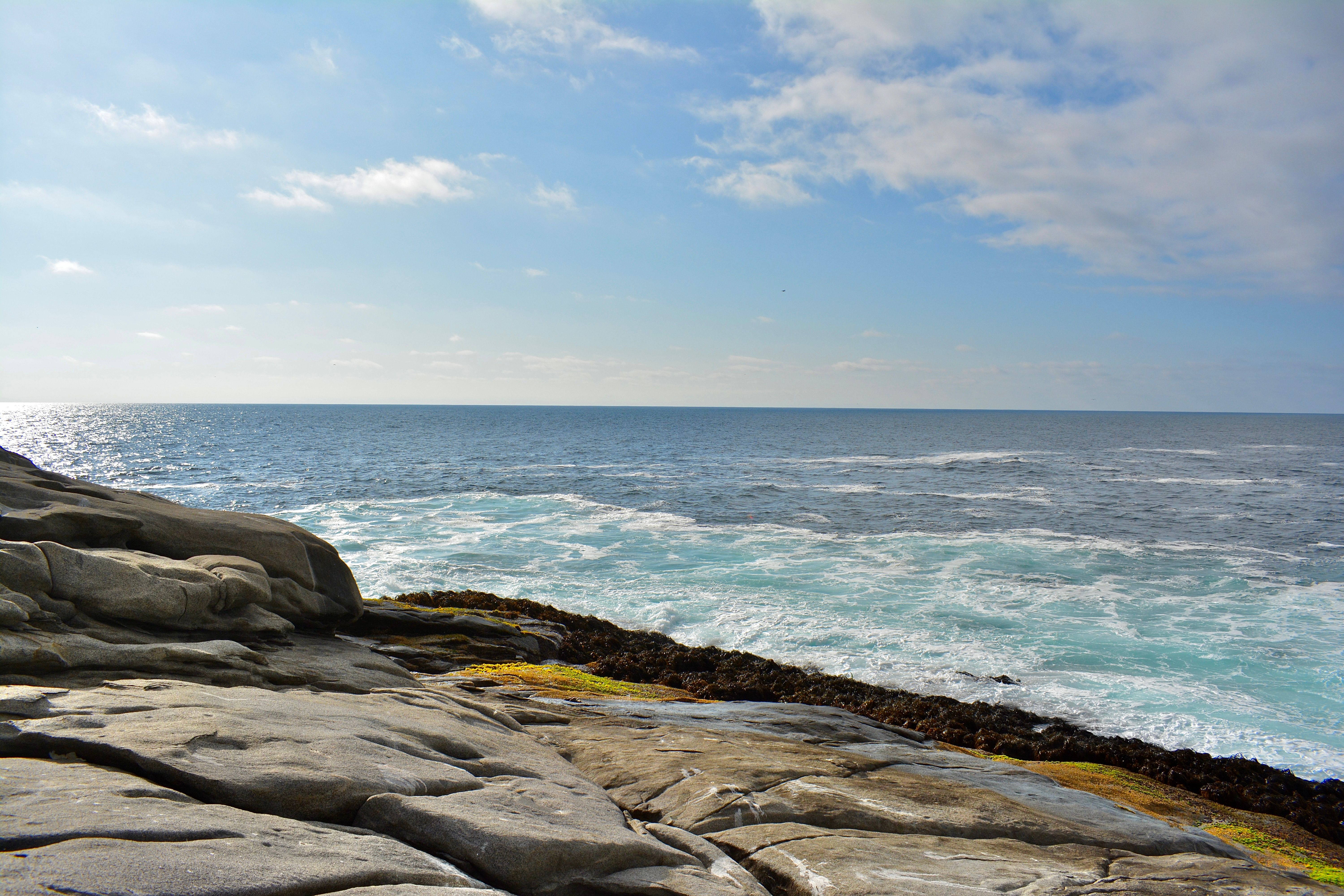 Rocks by a Seashore · Free Stock Photo
