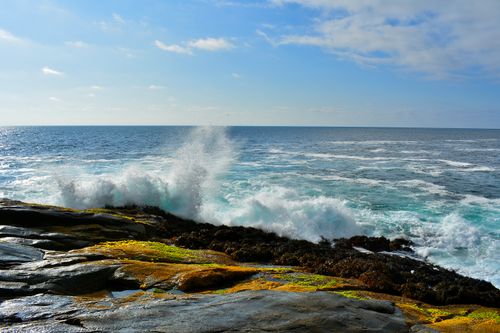 Free Vibrant ocean scene with waves crashing on rocks, under a clear sky. Stock Photo
