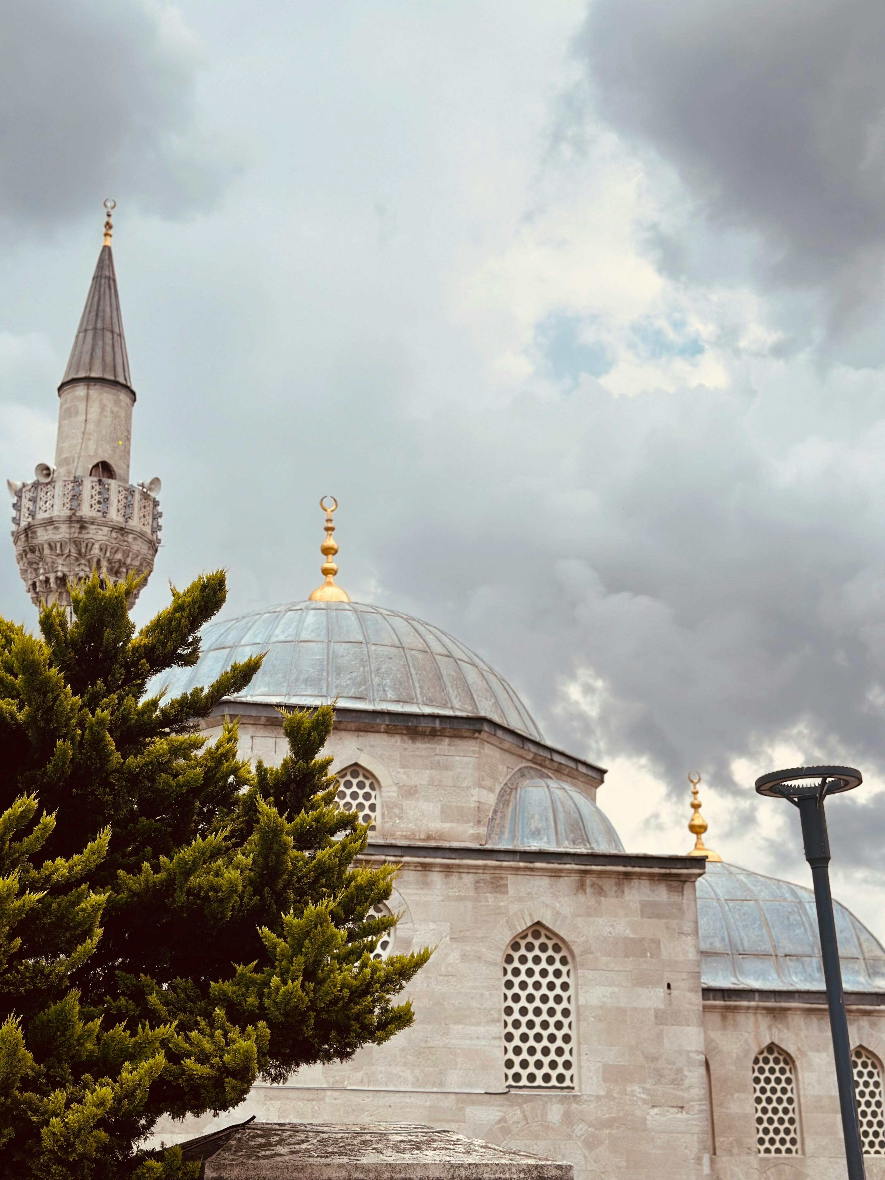 a mosque with a clock tower and a tree