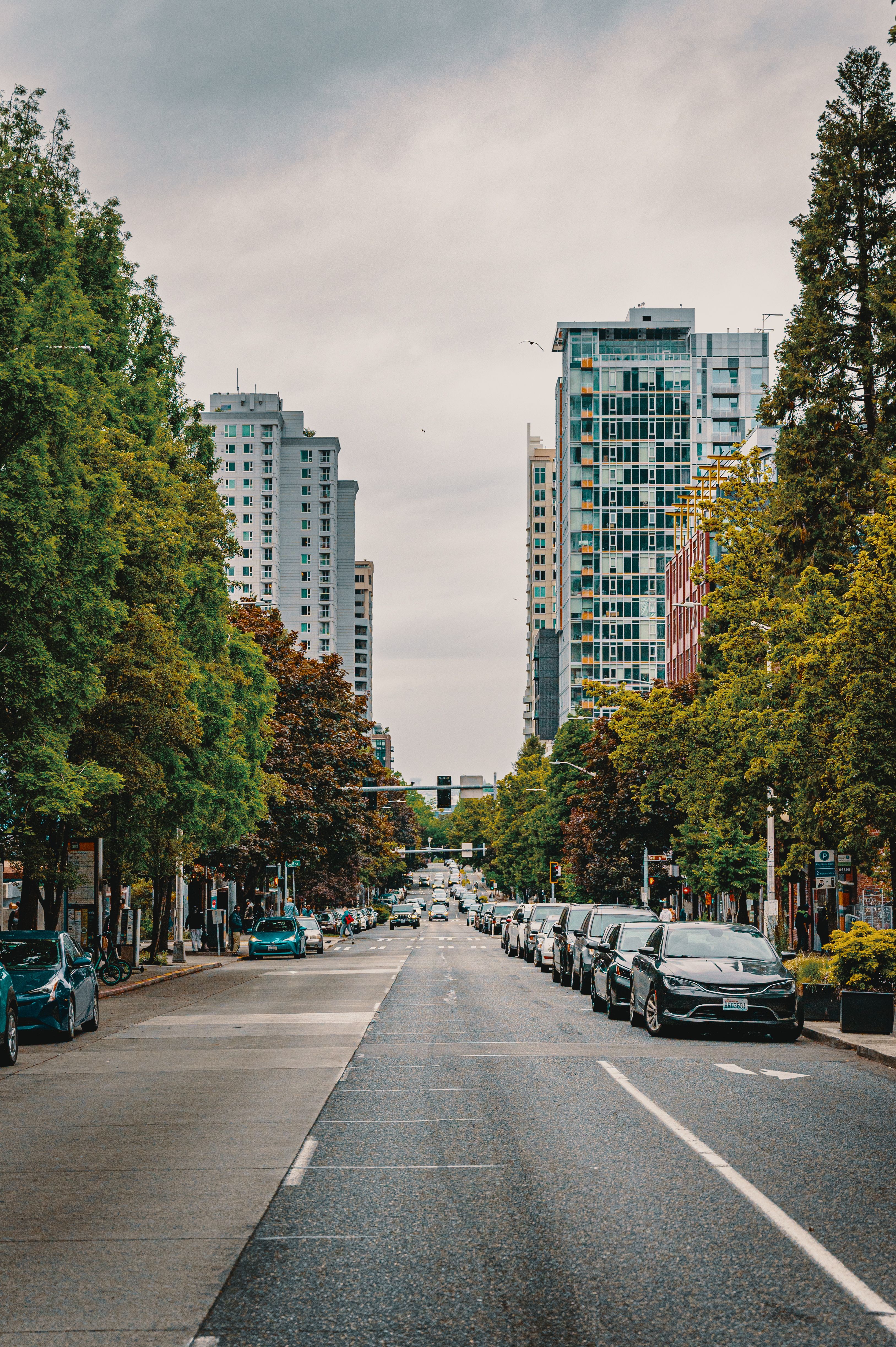 A city street with cars parked on both sides · Free Stock Photo