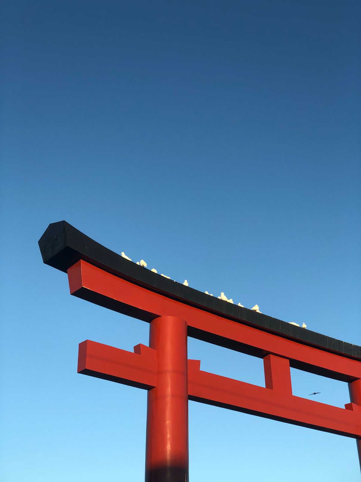 青空に立つ朱色の鳥居のイメージ