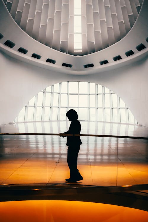 Free Silhouette of Person Inside A Building Stock Photo