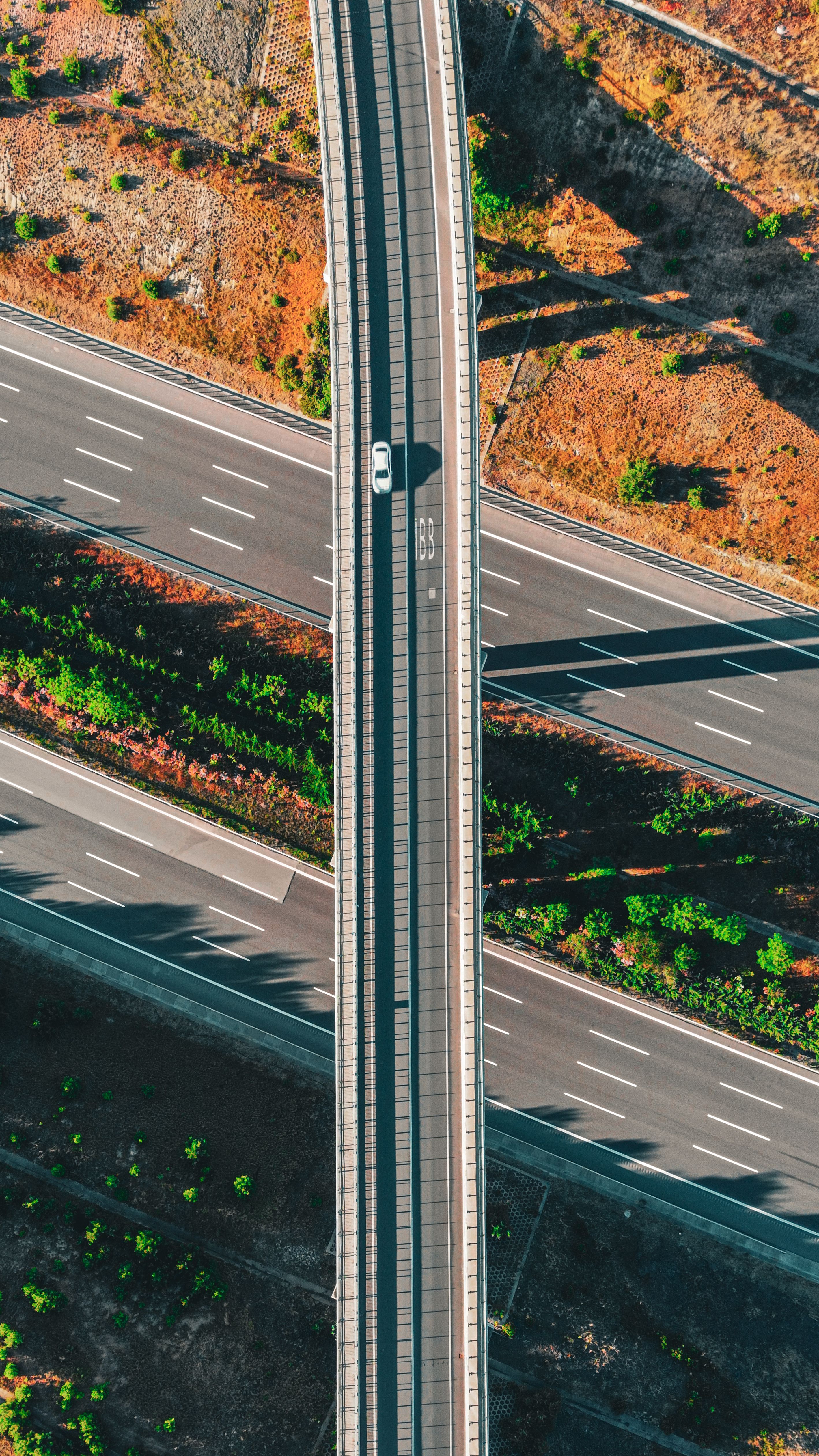 Fotomural Fotolia