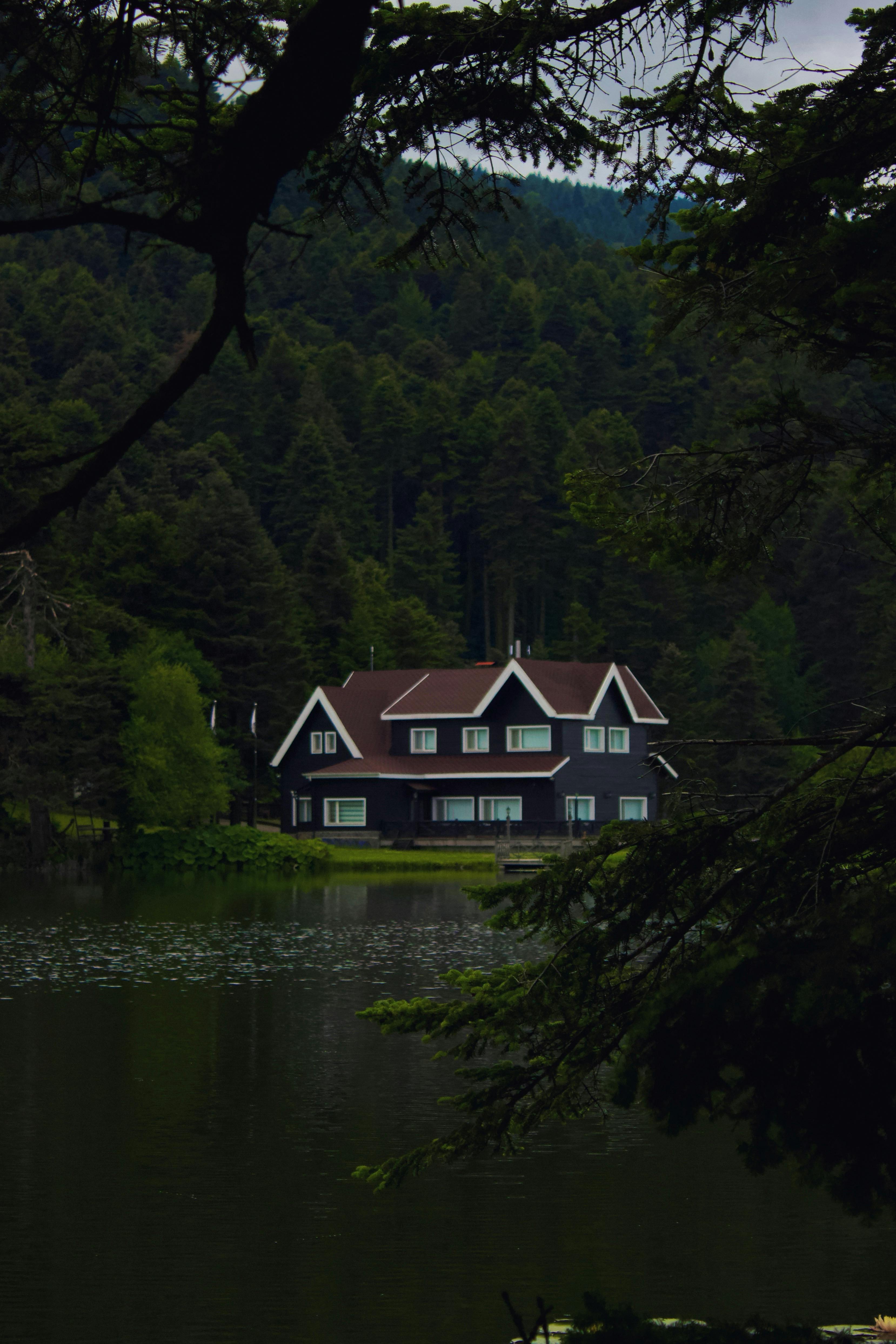 Charming house by a tranquil lake surrounded by lush forest in Bolu, Türkiye.