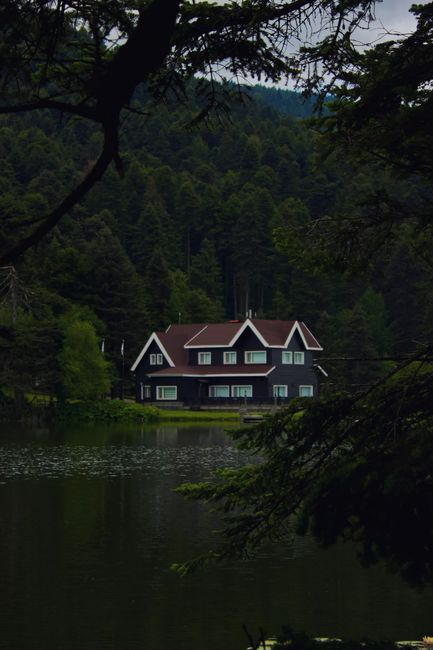Charming house by a tranquil lake surrounded by lush forest in Bolu, Türkiye.