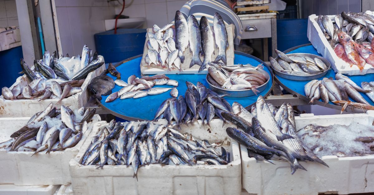 Les poissons frais incontournables à essayer absolument