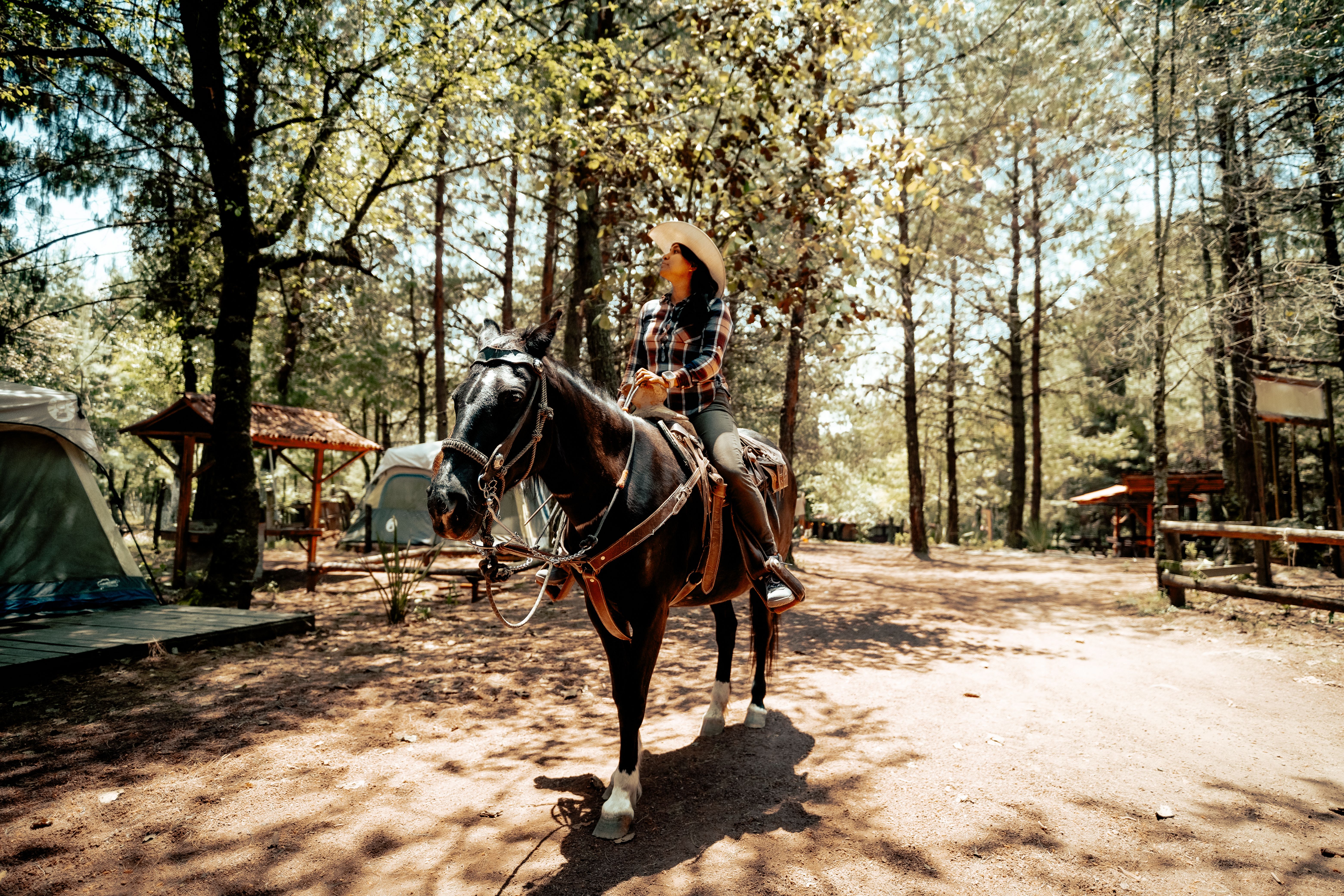 ky horse park camping