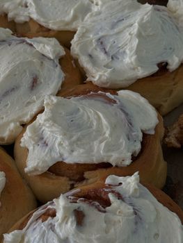 Sweet Frosted Roll