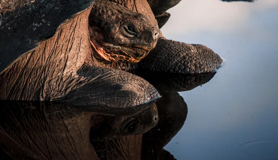 Jour 1 aux Galápagos