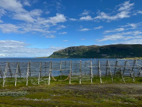 Free Traditional fish drying racks by the sea in Finnmark, Norway, under a clear blue sky. Stock Photo