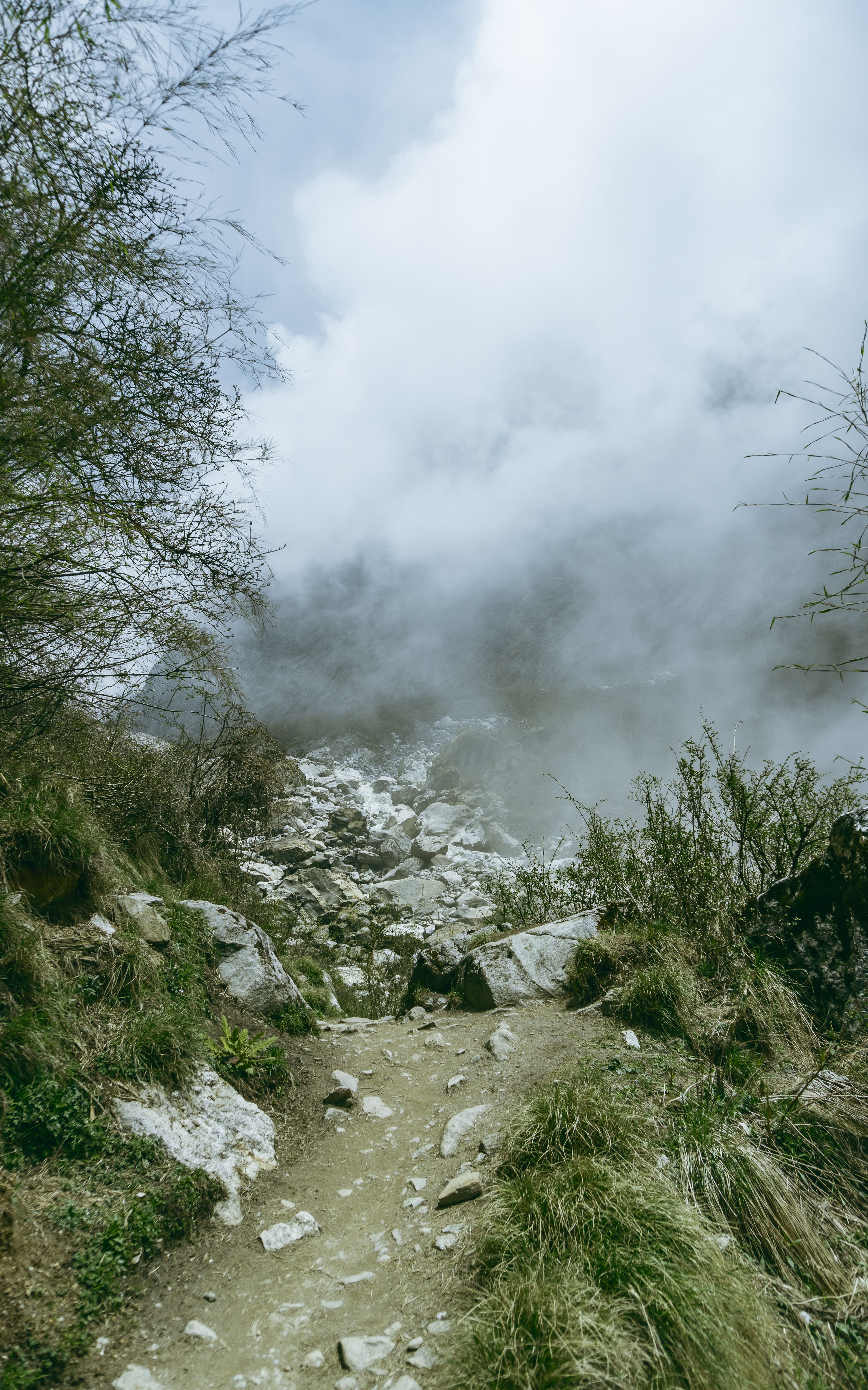 A trail through the fog and mist with rocks and trees · Free Stock Photo