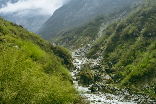 Free Beautiful mountain landscape with a flowing stream and vibrant green foliage. Stock Photo