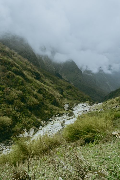 Free A dense fog-covered mountain valley with lush greenery and a flowing river. Captured in a vertical shot. Stock Photo