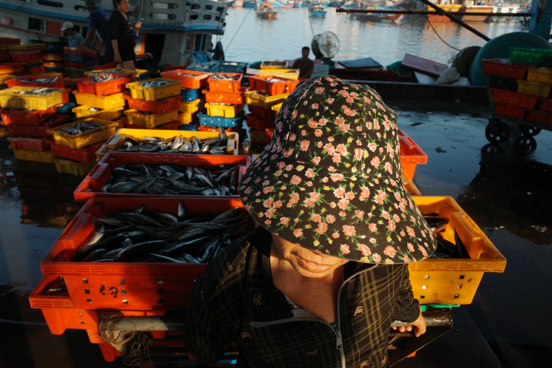 Vibrant capture of fish market activity in Da Nang, showcasing daily life and commerce.