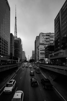 A striking black and white image of a bustling city street in São Paulo, Brazil.