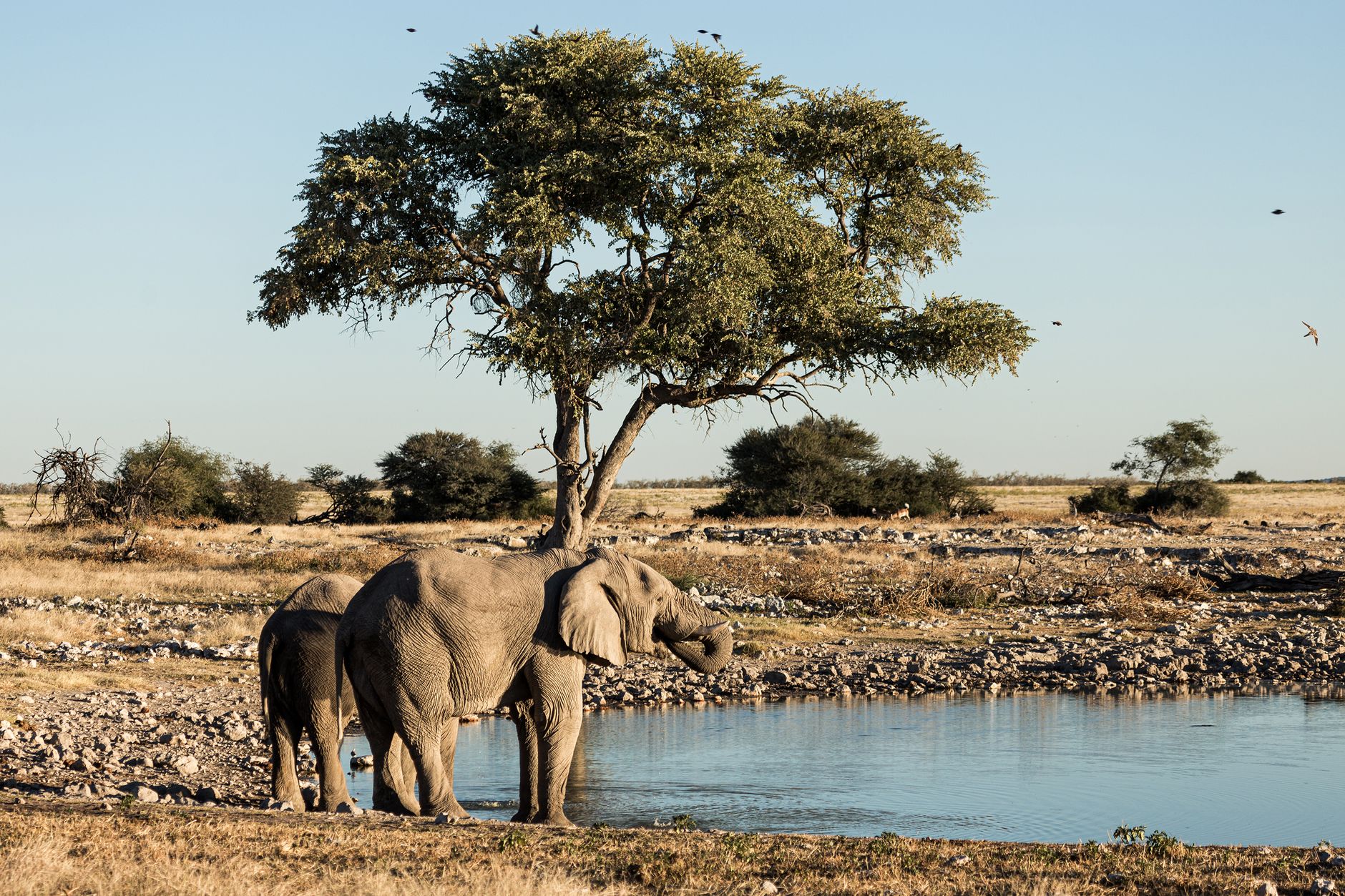 Zimbabwe Safari Weather: Your August 2026 Guide
