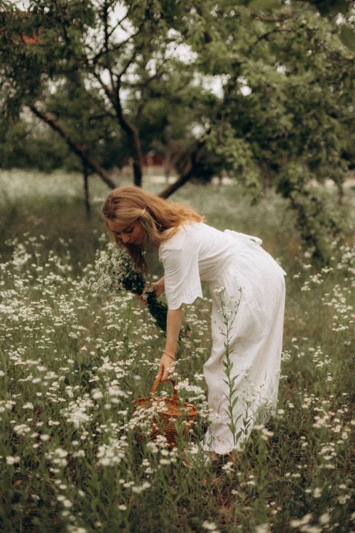 Free A woman in a white dress picks wildflowers in a lush spring meadow. Stock Photo