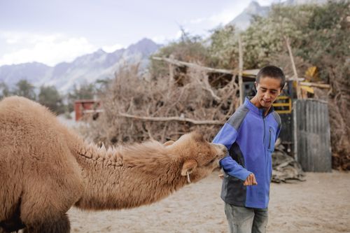Free A young boy in a jacket interacts with a camel on a farm, showcasing rural life. Stock Photo